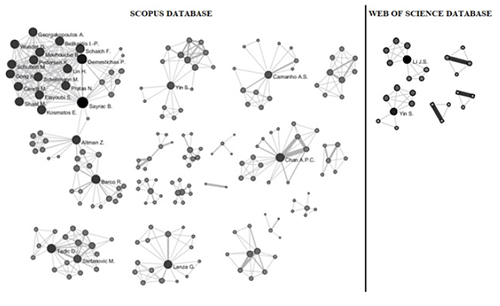 Authors’ networks retrieved from “key performance indicator” from Scopus and WoS databases