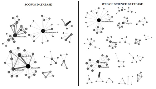 Authors’ networks retrieved from “measurement” and “competitiveness” from Scopus and WoS databases