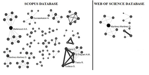 Authors’ networks retrieved using the search terms “competitiveness” and “SME” from Scopus and WoS databases