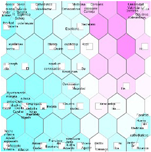 U-matrix de los claustros particulares de medicina