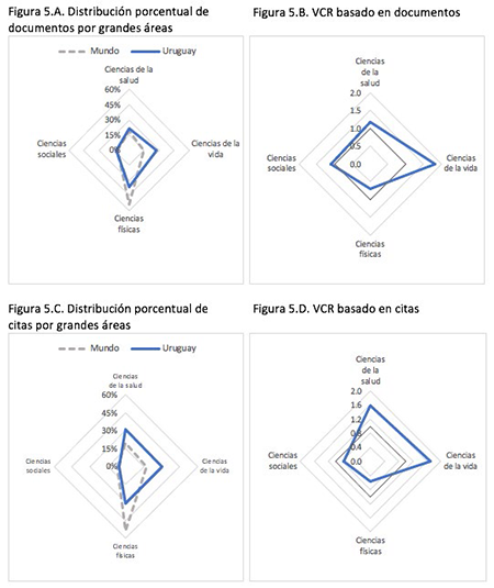medium/medium-REDC-45-04-e340-gf5.png