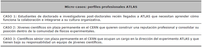 Descripci&oacute;n de los micro-casos