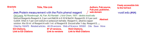 Fields extracted from each Google Scholar record in the search engine results page
